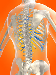 Similar image 8196199