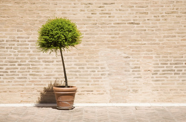 Similar image 8196205