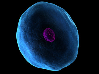 Similar image 8196218