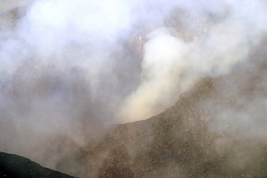 Similar image 8196244