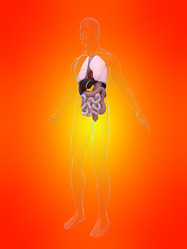 Similar image 8196269