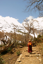 Similar image 8196296