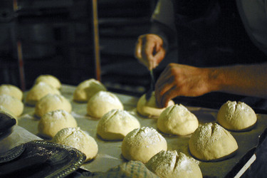 Similar image 8196311