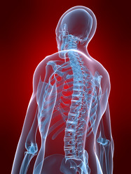 Similar image 8196330