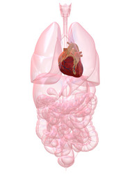 Similar image 8196345