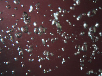 Similar image 8196397