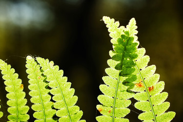 Similar image 8196405