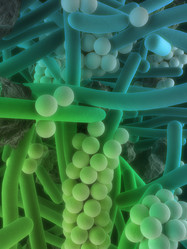 Similar image 8196410