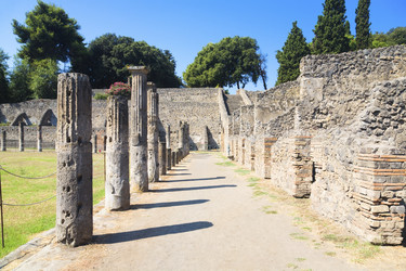 Similar image 8196412