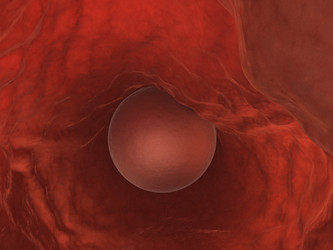 Similar image 8196454