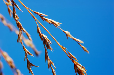 Similar image 8196461