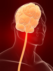 Similar image 8196466