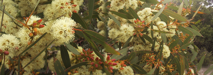 Similar image 8196479