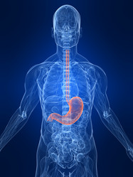 Similar image 8196493