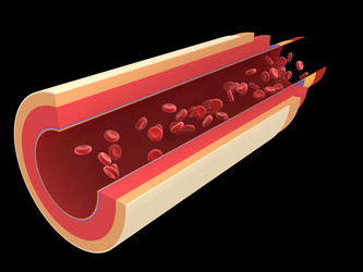 Similar image 8196498