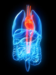 Similar image 8196521