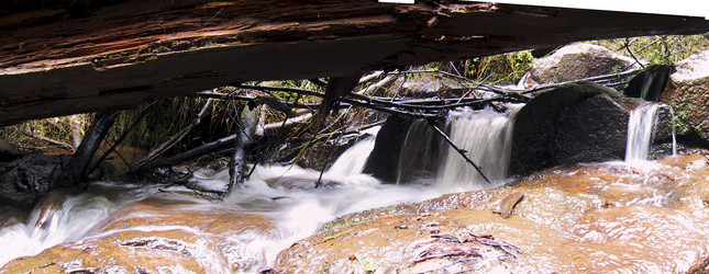 Similar image 8196535