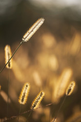 Similar image 8196558