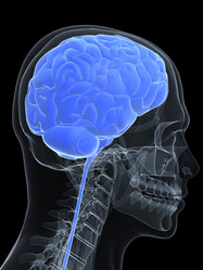 Similar image 8196604