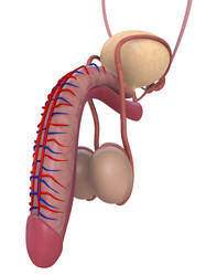 Similar image 8196611