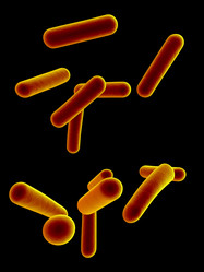 Similar image 8196661