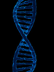 Similar image 8196687