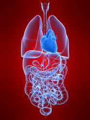 Similar image 8196707