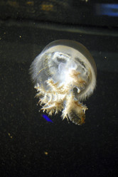 Similar image 8196728