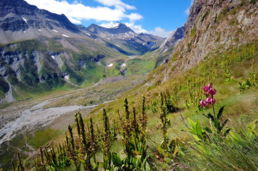 Similar image 8196746