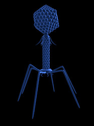 Similar image 8196748