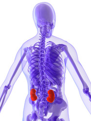 Similar image 8196772