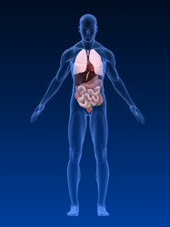 Similar image 8196813