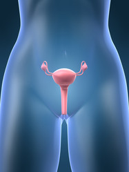 Similar image 8196815