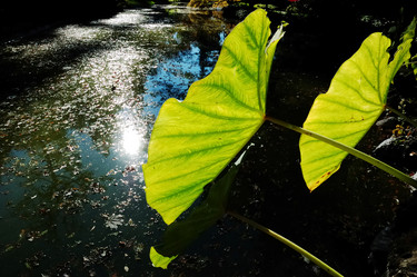 Similar image 8196841