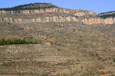 Similar image 8196864