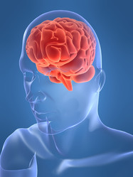 Similar image 8196882