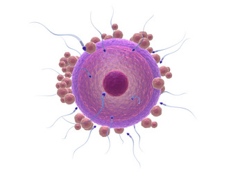 Similar image 8196914