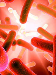 Similar image 8196981