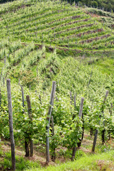 Similar image 8196999