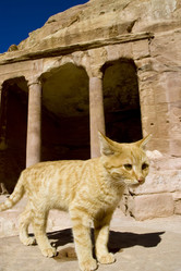 Similar image 8197023