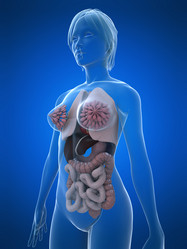 Similar image 8197037