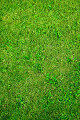 Similar image 8197091