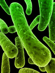 Similar image 8197101