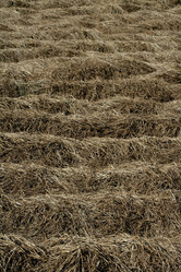 Similar image 8197106