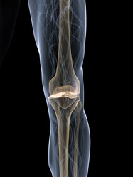 Similar image 8197115