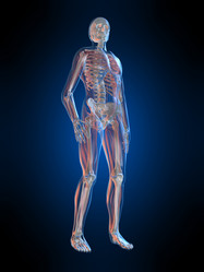 Similar image 8197126