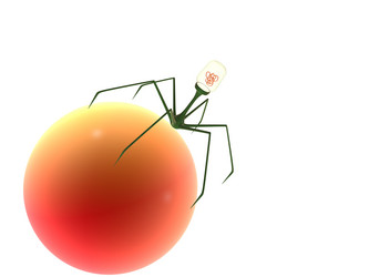 Similar image 8197135