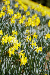 Similar image 8197210