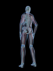 Similar image 8197229