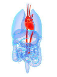 Similar image 8197236